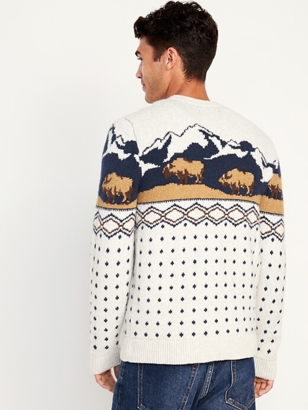 Old Navy SoSoft Fair Isle Bison Sweater